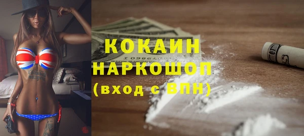 дмт Краснослободск
