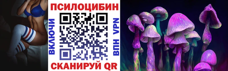 Галлюциногенные грибы Psilocybe  как найти наркотики  Воронеж 
