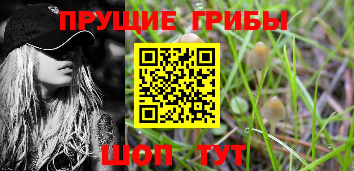 Воронеж  Псилоцибиновые грибы мухоморы  Вход с VPN  Галлюциногенные грибы Cubensis 