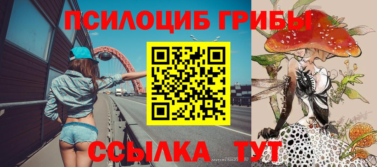 Галлюциногенные грибы мицелий  Галлюциногенные грибы ЛСД  Воронеж 