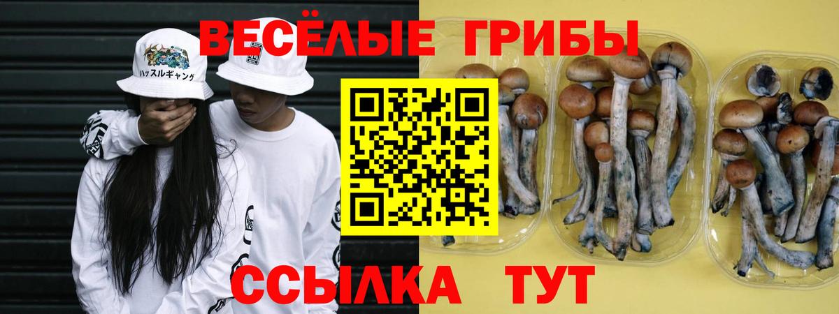 Галлюциногенные грибы Cubensis Воронеж