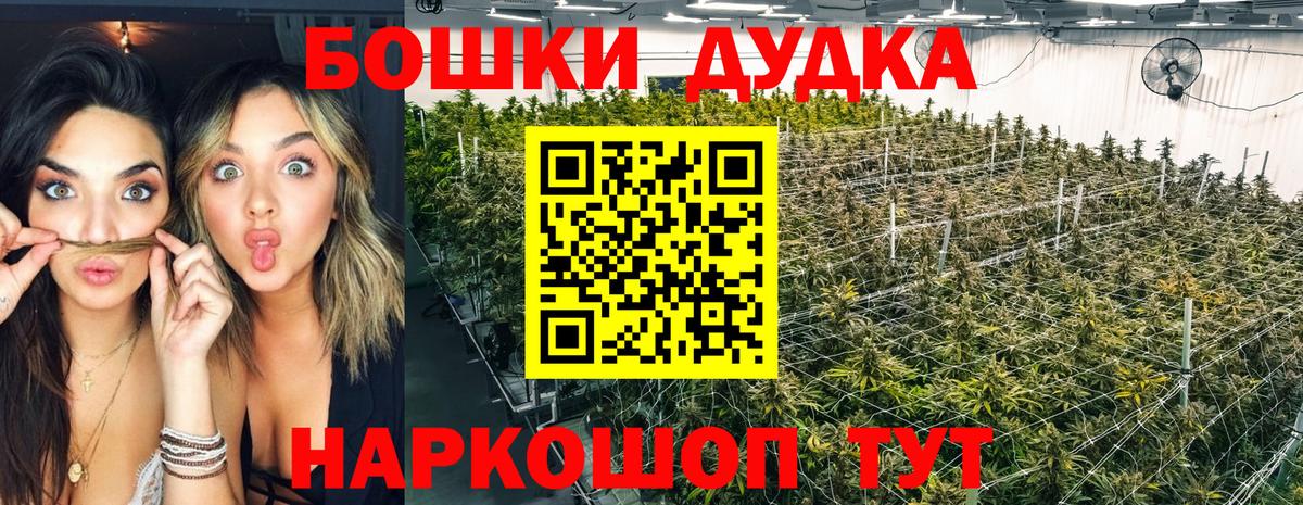 Бошки Шишки план  Вход с VPN  Шишки марихуана семена  Воронеж  Каннабис гибрид 